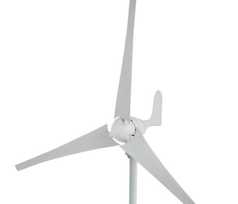 Generador eólico certificado ISO9001 personalizado para energía respetuosa con el medio ambiente
