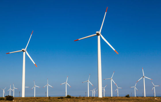 Generador eólico certificado ISO9001 personalizado para energía respetuosa con el medio ambiente