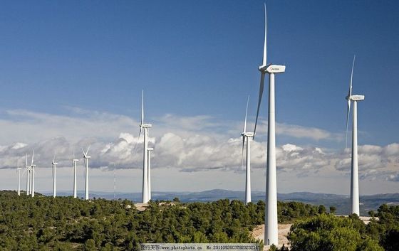 Generador eólico certificado ISO9001 personalizado para energía respetuosa con el medio ambiente