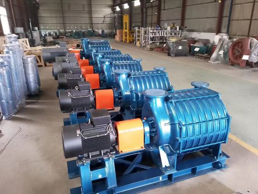 Soplador industrial de válvula rotativa de hierro fundido para acuicultura Necesidades de aireación a alta presión