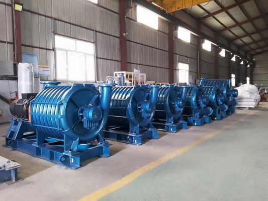 Soplador industrial de válvula rotativa de hierro fundido para acuicultura Necesidades de aireación a alta presión