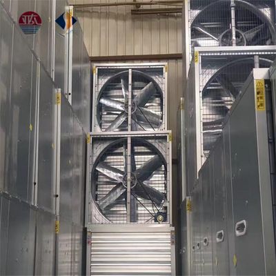 Ventilador de ventilación de pared de FRP para ventilación mejorada en entornos industriales